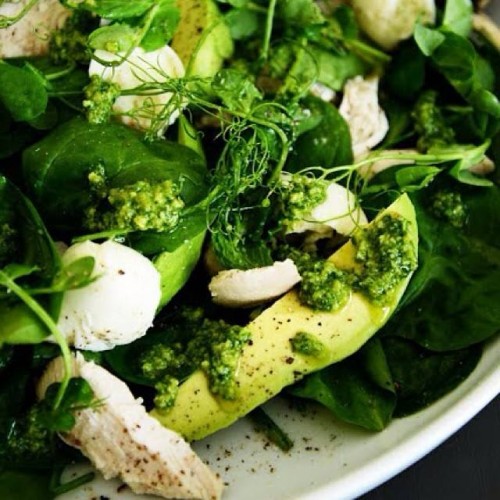 Healthy SPINACH salad with chicken, avocado, fresh mozzarella and pesto