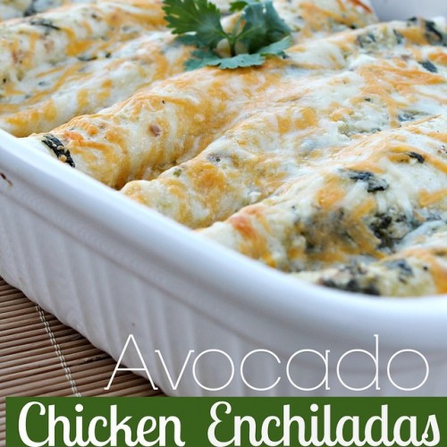 Avocado Chicken Enchiladas