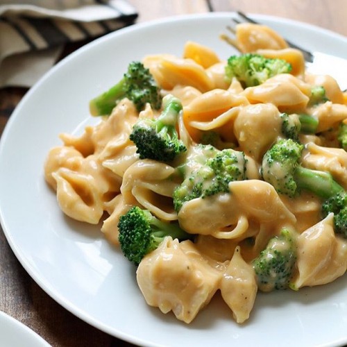 Chicken and Broccoli Shells and Cheese .
