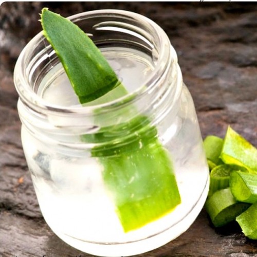 THE HEALTH AND HEALING BENEFITS OF DRINKING ALOE VERA JUICE