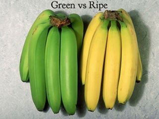 Green VS. Ripe Bananas