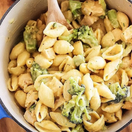 CREAMY BROCCOLI CHICKEN SHELLS AND CHEESE