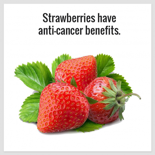 Health Benefits of Strawberries 🍓