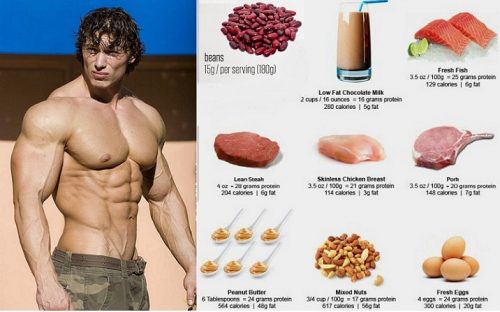 How To Build Muscle Fast on A Budget: Top 7 Cheapest Sources of Protein