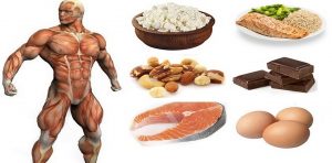 Best 5 Proteins For Building Muscle