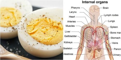 See What Happens To Your Body If You Eat Eggs Every Day