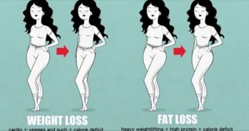 The Difference Between Weight Loss And Fat Loss