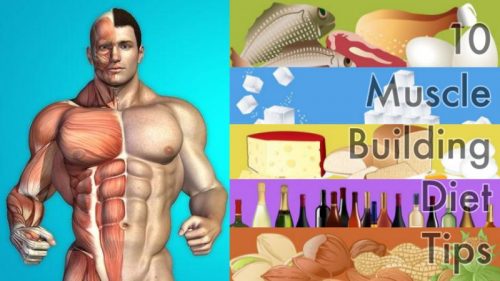10 Muscle Building Diet Tips To Maximize Results