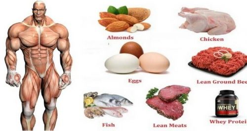 The Top 10 Foods For Muscle Building