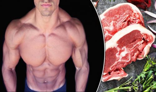 Warrior Diet : How to Get Lean on the Warrior Diet