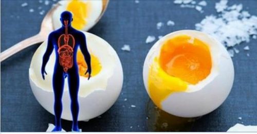 What Happens When You Eat 3 Whole Eggs Every Day?
