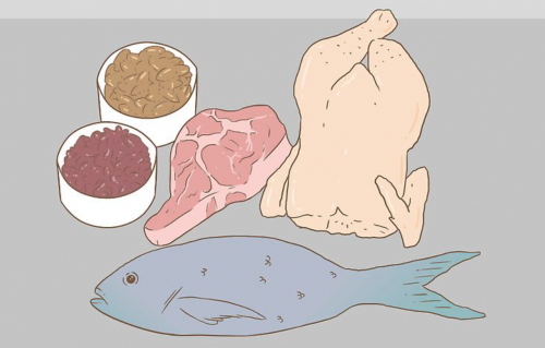 How to Maximize Your Muscle Building Diet Plan
